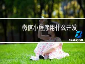 微信小程序用什么开发