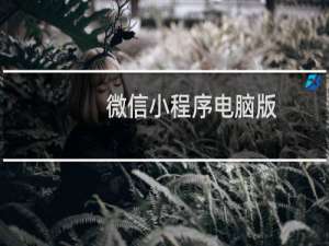 微信小程序电脑版