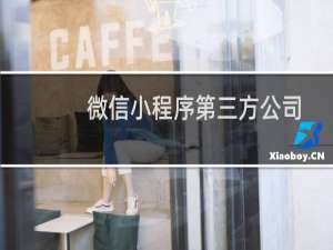 微信小程序第三方公司