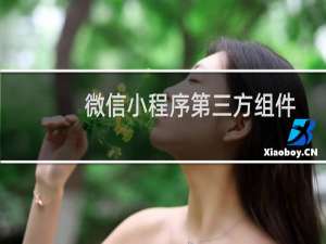 微信小程序第三方组件