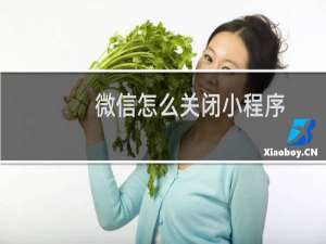 微信怎么关闭小程序