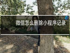 微信怎么删除小程序记录