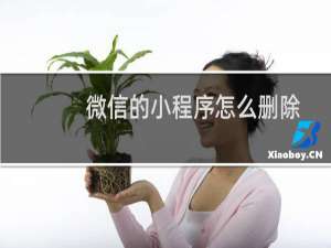 微信的小程序怎么删除