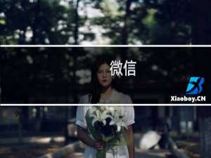微信 小程序怎么删除