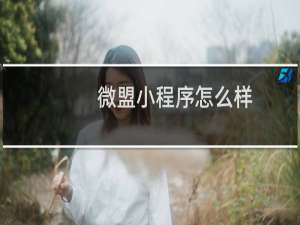 微盟小程序怎么样