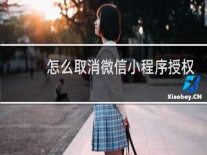 怎么取消微信小程序授权