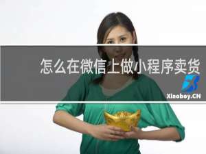 怎么在微信上做小程序卖货