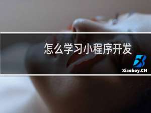 怎么学习小程序开发