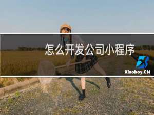 怎么开发公司小程序