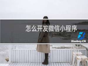 怎么开发微信小程序