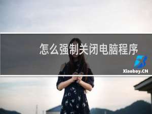 怎么强制关闭电脑程序