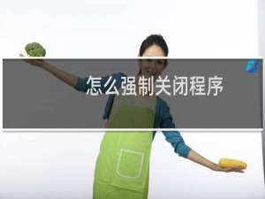 怎么强制关闭程序