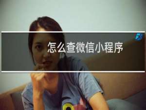 怎么查微信小程序