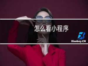 怎么看小程序