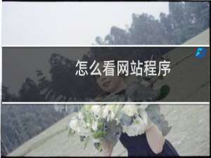 怎么看网站程序