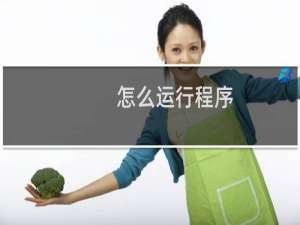 怎么运行程序