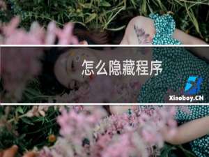 怎么隐藏程序