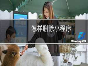 怎样删除小程序