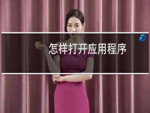 怎样打开应用程序