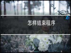 怎样结束程序
