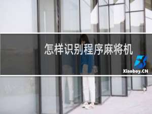 怎样识别程序麻将机