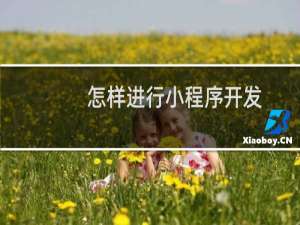 怎样进行小程序开发