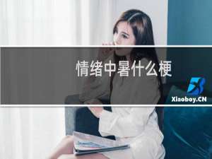 情绪中暑什么梗？什么梗