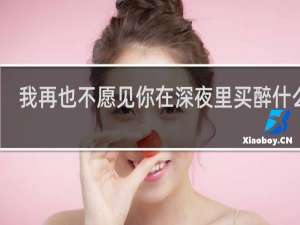 我再也不愿见你在深夜里买醉什么歌