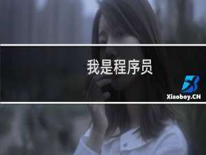 我是程序员