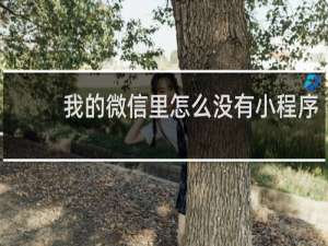 我的微信里怎么没有小程序