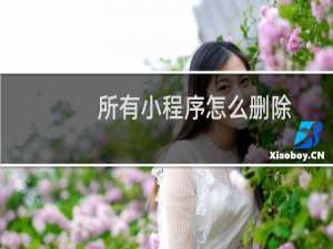 所有小程序怎么删除