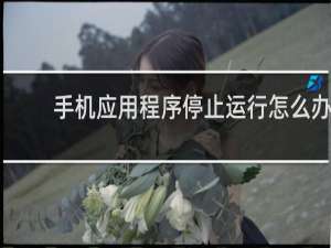 手机应用程序停止运行怎么办