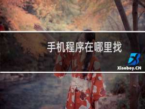 手机程序在哪里找