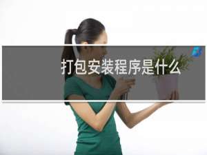 打包安装程序是什么