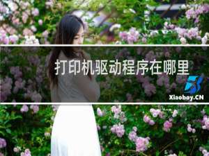 打印机驱动程序在哪里