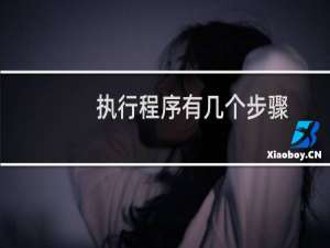 执行程序有几个步骤