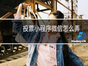 投票小程序微信怎么弄
