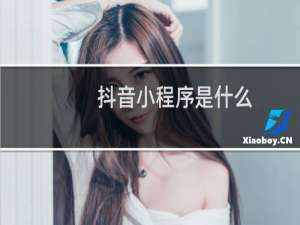 抖音小程序是什么