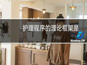 护理程序的理论框架是