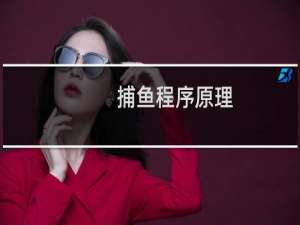 捕鱼程序原理