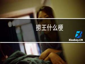 捞王什么梗