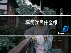 摇摆联盟什么梗