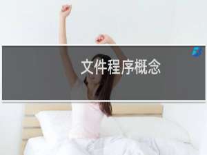文件程序概念