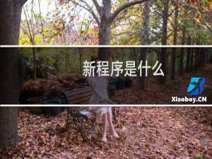 新程序是什么