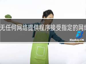 无任何网络提供程序接受指定的网络路径