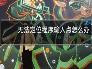 无法定位程序输入点怎么办