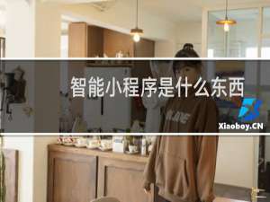 智能小程序是什么东西