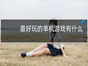 最好玩的单机游戏有什么