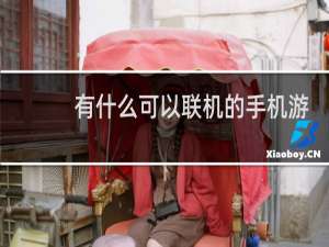 有什么可以联机的手机游戏