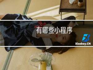 有哪些小程序
